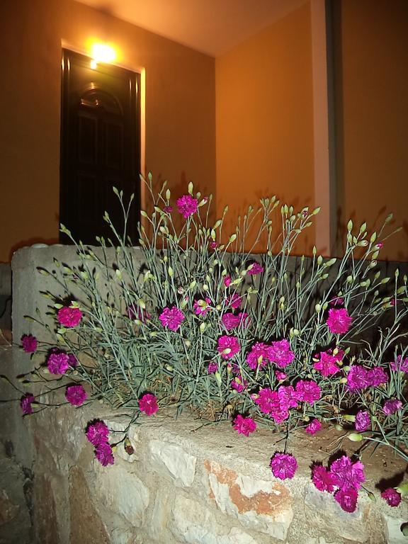Guest House Solive Himarë Exterior foto